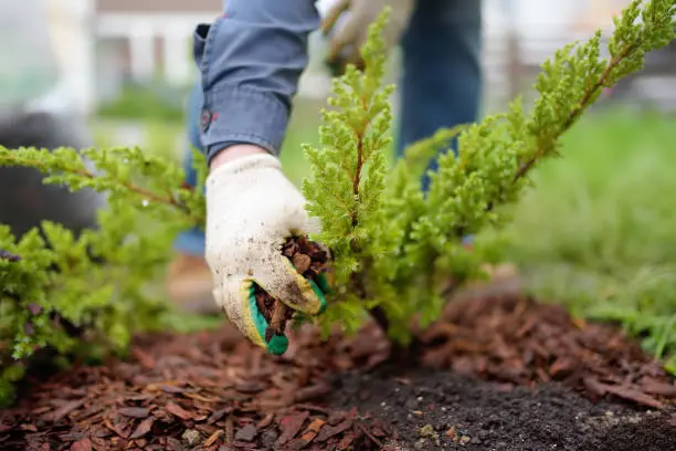 Affordable Mulching in Quincy, MA