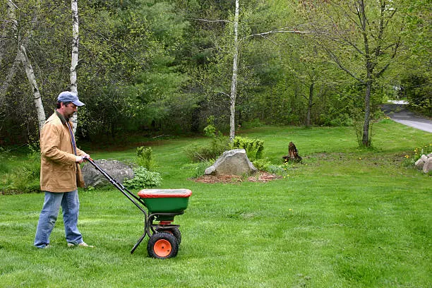 Dependable Lawn Fertilization in Quincy, MA