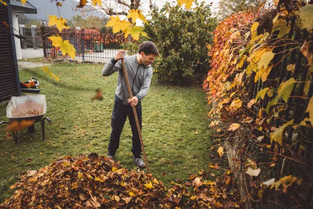 How To Clean A Backyard Quincy, MA