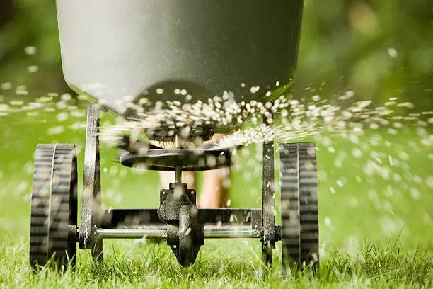 How often should you fertilize your lawn Quincy, MA