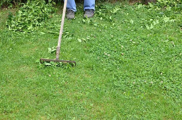 How to clear a yard full of weeds Quincy, MA