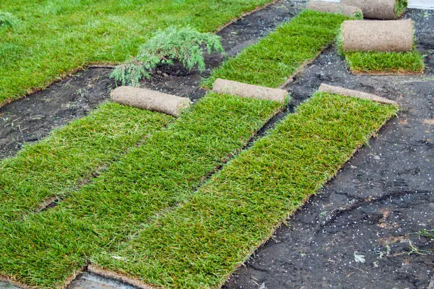 How to lay sod over existing lawn in Quincy, MA