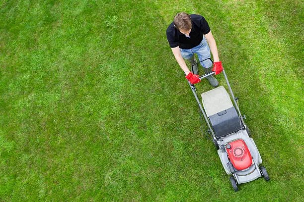 How to mow a lawn in Quincy, MA