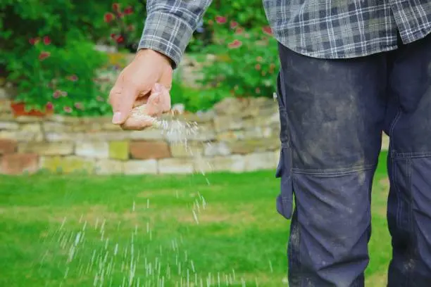 Lawn Fertilization Pompano Quincy, MA