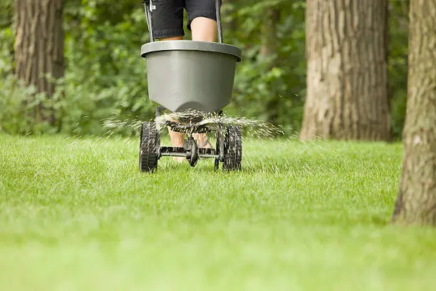 Lawn Fertilization in Quincy, MA