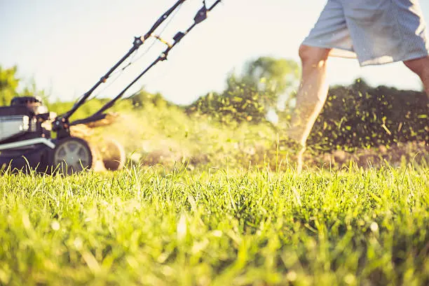 Lawn Mowing in Quincy, MA