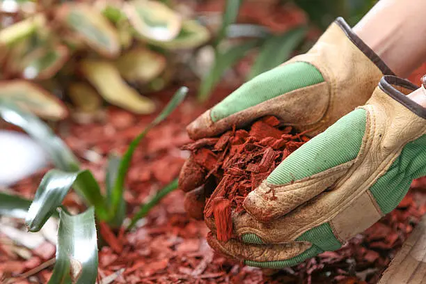 Mulching Quincy, MA