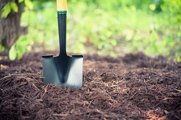 Mulching in Quincy, MA