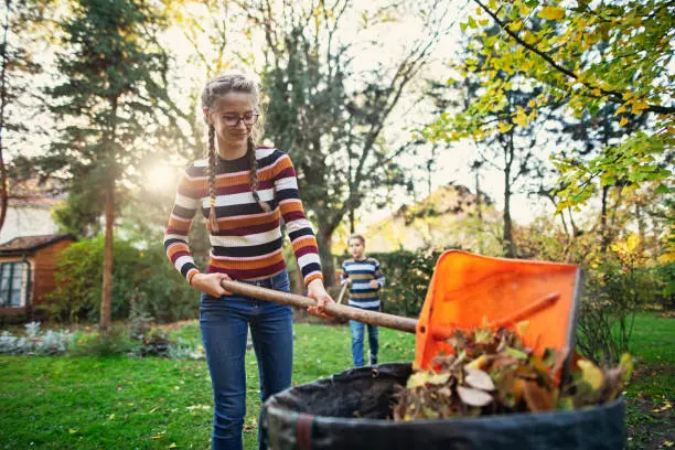 Reliable Yard Cleanup in Quincy, MA