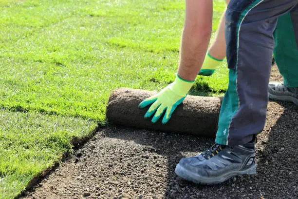 Sod Installation Quincy, MA