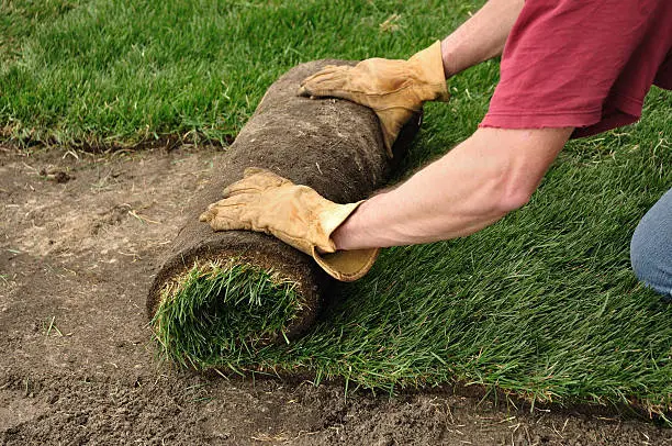 Sod Installation in Quincy, MA