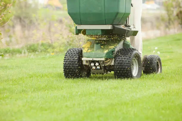 When is the best time to fertilize your lawn Quincy, MA