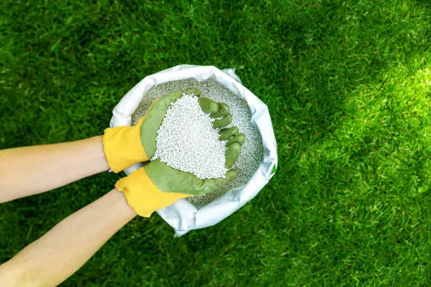 When is the best time to fertilize your lawn in Quincy, MA