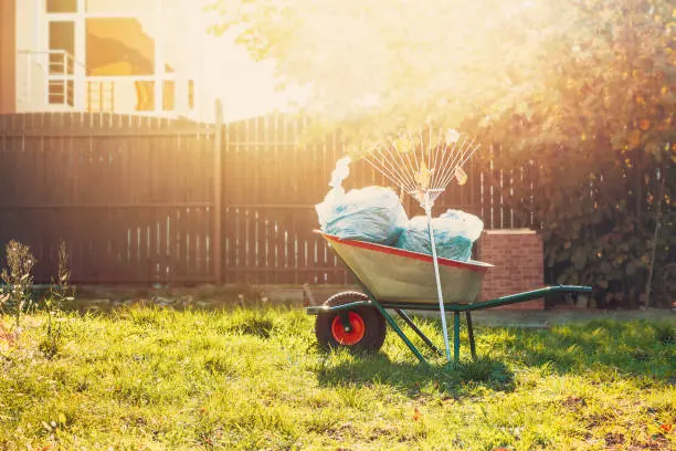 Yard Cleanup in Quincy, MA